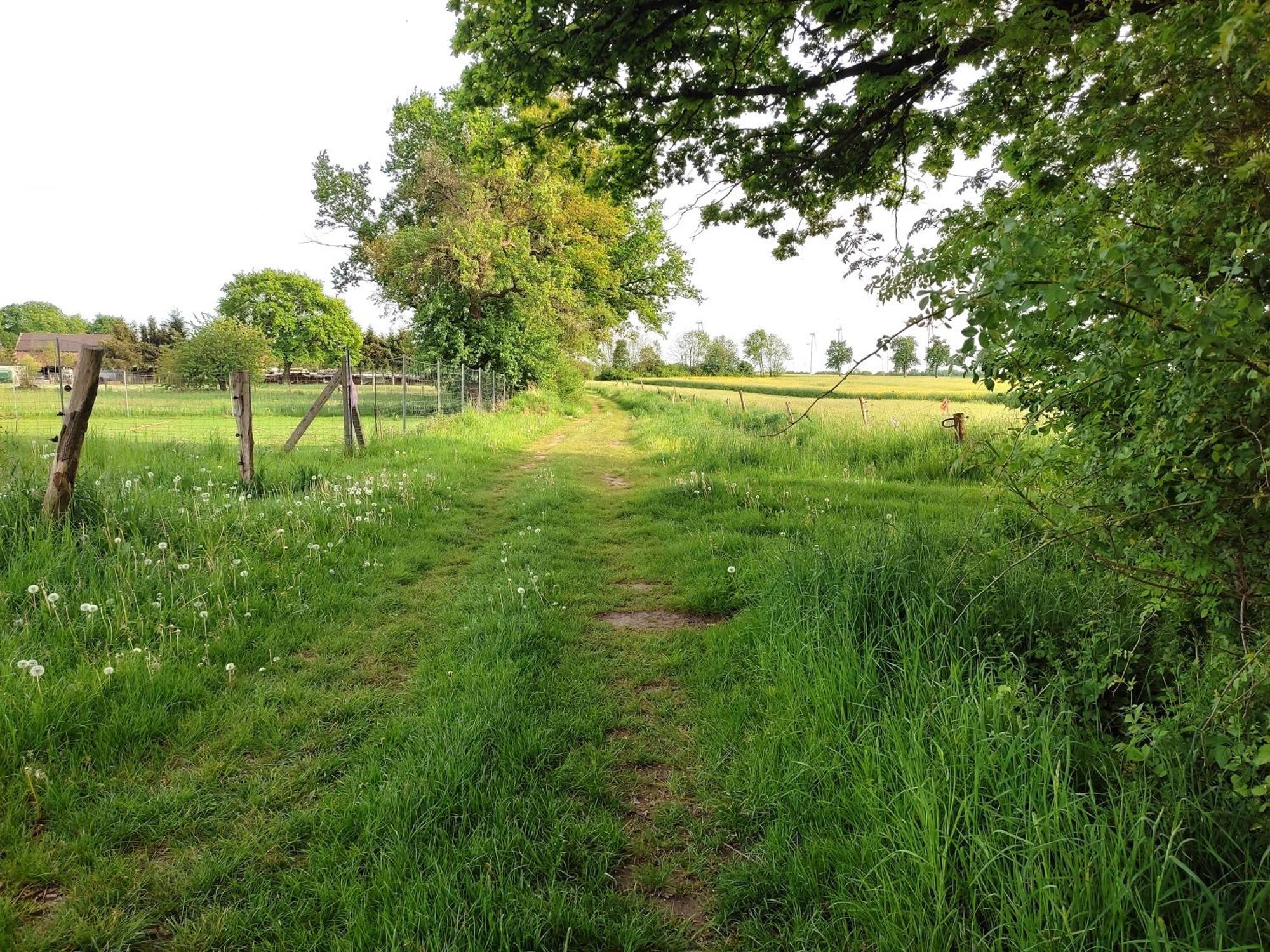 Ferienwohnung Steffenshagen Pritzwalk Luaran gambar