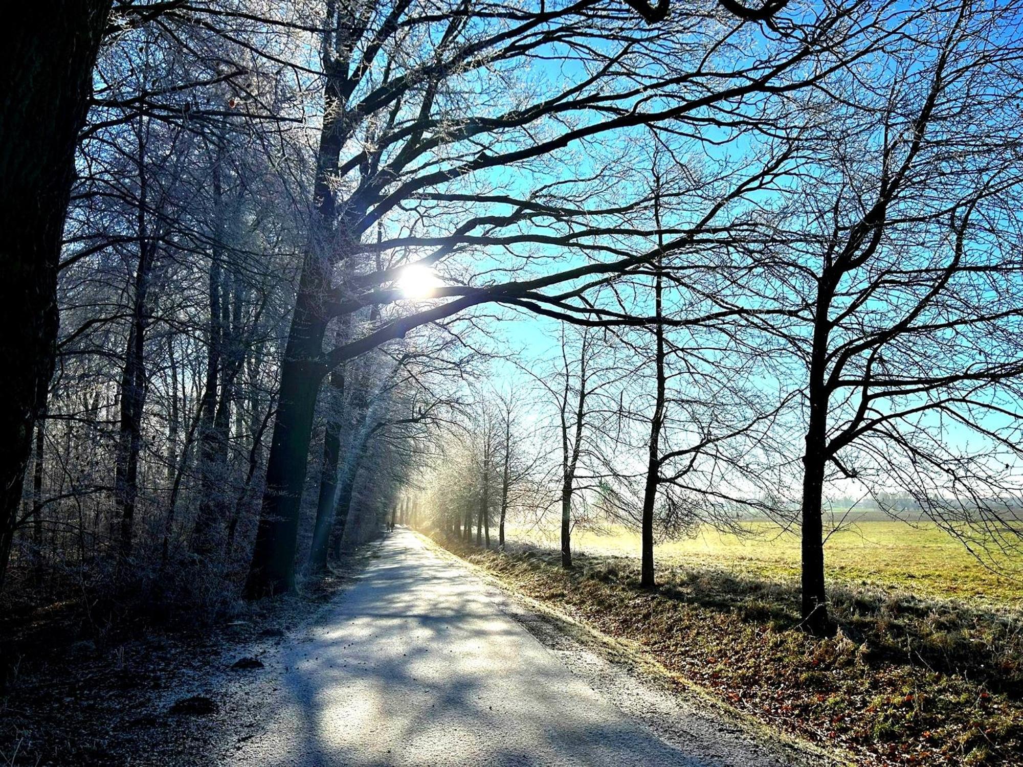 Ferienwohnung Steffenshagen Pritzwalk Luaran gambar